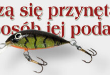 KAŻDY SZCZEGÓŁ JEST WAŻNY